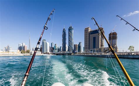 Fishing in Dubai Guide: Best Spots, Seasons, License .